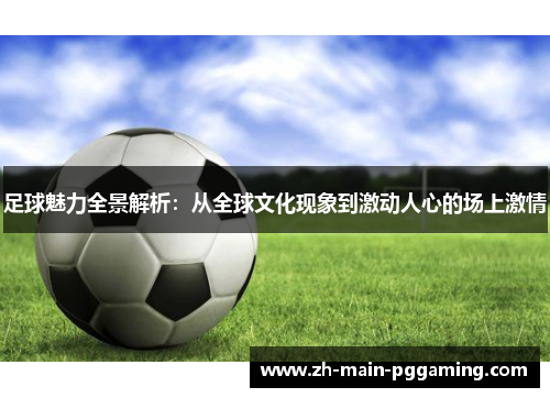 足球魅力全景解析：从全球文化现象到激动人心的场上激情