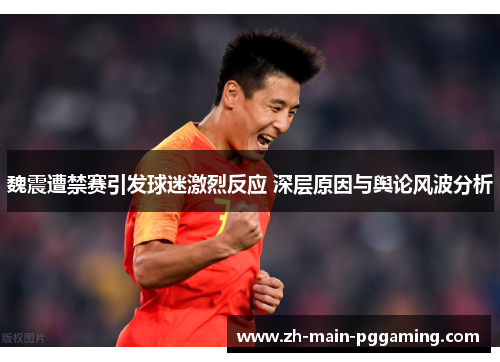 魏震遭禁赛引发球迷激烈反应 深层原因与舆论风波分析