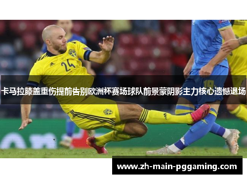 卡马拉膝盖重伤提前告别欧洲杯赛场球队前景蒙阴影主力核心遗憾退场 卡马拉膝盖重伤提前告别欧洲杯赛场球队前景蒙阴影主力核心遗憾退场